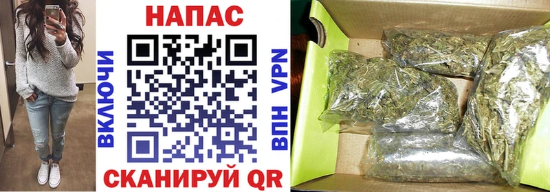 omg ONION купить цена Красногорск Шишки марихуана OG Kush